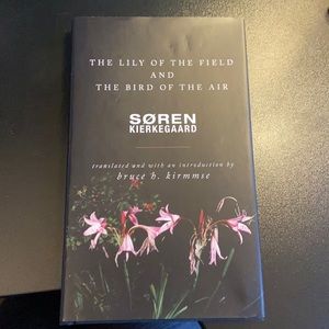 The lily of the field and the bird of the air